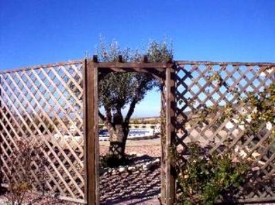Canada Del Trigo property: Villa with 3 bedroom in Canada Del Trigo 151014
