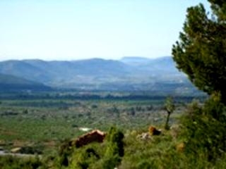 Atzeneta Del Maestrat property: Land for sale in Atzeneta Del Maestrat, Spain 151093