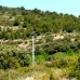 Atzeneta Del Maestrat property: Beautiful Land for sale in Atzeneta Del Maestrat 151093