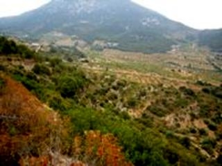 Atzeneta Del Maestrat property: Land for sale in Atzeneta Del Maestrat 151095