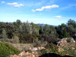 Atzeneta Del Maestrat property: Land with bedroom in Atzeneta Del Maestrat 151098