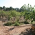 3 bedroom Villa in town, Spain 151136