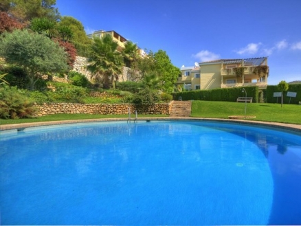 Nueva Andalucia property: Penthouse for sale in Nueva Andalucia 151394