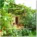 Orgiva property: Granada, Spain Farmhouse 151435