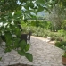 Orba property: Alicante Villa, Spain 152079