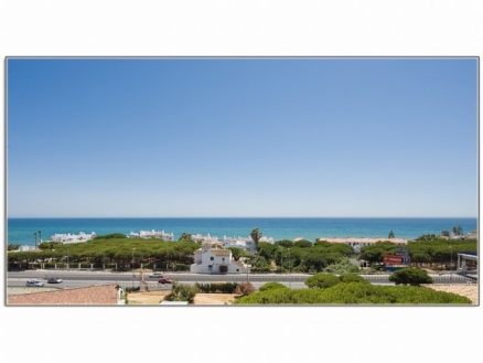 Calypso property: Studio for sale in Calypso, Spain 152165