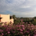 Malaga Apartment, Spain 152276