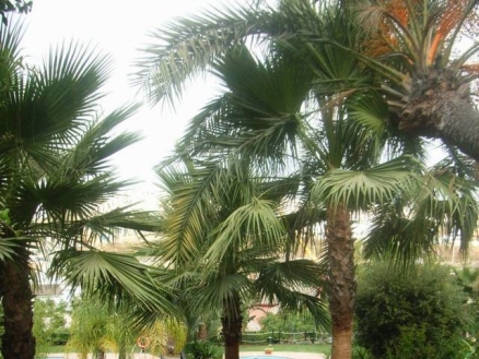 Apartment&nbsp;for&nbsp;sale&nbsp;in&nbsp;town,&nbsp;Malaga&nbsp;152899