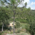 Benahavis&nbsp;property:&nbsp;Land&nbsp;for&nbsp;sale&nbsp;in&nbsp;Benahavis&nbsp;153033