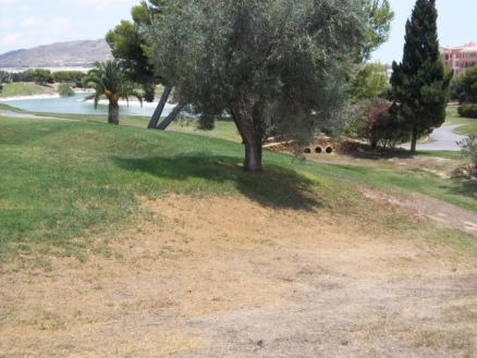 Alicante&nbsp;Villa&nbsp;154998