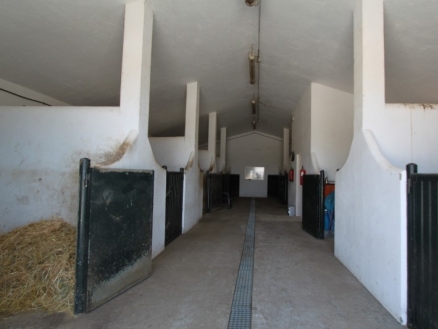 town&nbsp;Villa&nbsp;155013