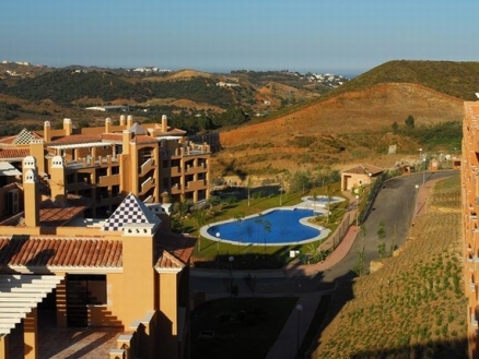 town&nbsp;Apartment&nbsp;155530