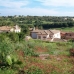 &nbsp;Land&nbsp;in&nbsp;Cadiz&nbsp;156494