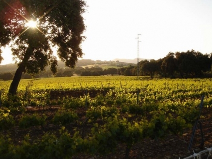 Ronda&nbsp;property:&nbsp;Ronda,&nbsp;Spain&nbsp;|&nbsp;Villa&nbsp;for&nbsp;sale&nbsp;156564