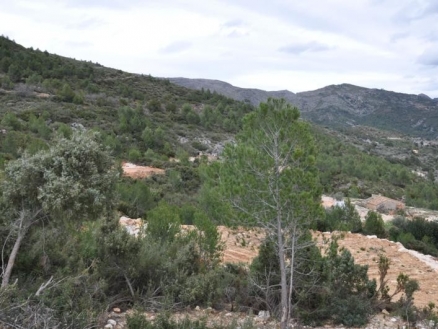 Castell&nbsp;De&nbsp;Castells&nbsp;property:&nbsp;Land&nbsp;for&nbsp;sale&nbsp;in&nbsp;Castell&nbsp;De&nbsp;Castells,&nbsp;Spain&nbsp;156675