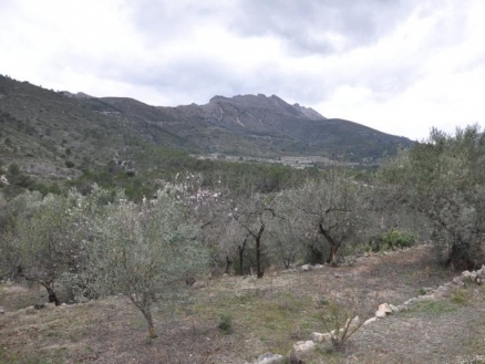Castell&nbsp;De&nbsp;Castells&nbsp;property:&nbsp;Land&nbsp;in&nbsp;Alicante&nbsp;for&nbsp;sale&nbsp;156675
