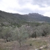 Castell&nbsp;De&nbsp;Castells&nbsp;property:&nbsp;Land&nbsp;in&nbsp;Castell&nbsp;De&nbsp;Castells&nbsp;156675