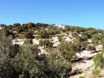 Cruz&nbsp;De&nbsp;Algaida&nbsp;property:&nbsp;Villa&nbsp;with&nbsp;5&nbsp;bedroom&nbsp;in&nbsp;Cruz&nbsp;De&nbsp;Algaida&nbsp;156739