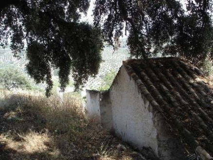 Villa&nbsp;with&nbsp;bedroom&nbsp;in&nbsp;town&nbsp;156743