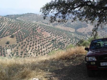 Villa&nbsp;with&nbsp;bedroom&nbsp;in&nbsp;town,&nbsp;Spain&nbsp;156743