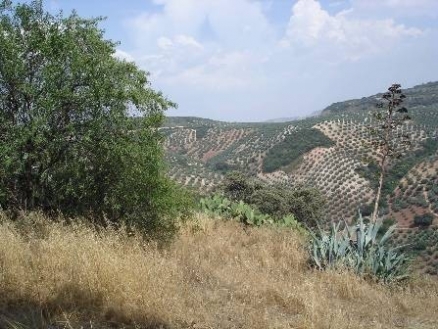 Malaga&nbsp;property&nbsp;|&nbsp;bedroom&nbsp;Villa&nbsp;156743