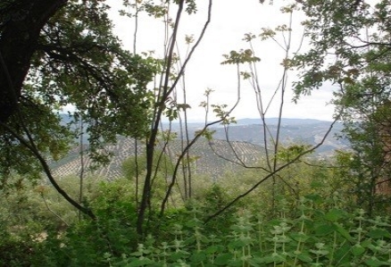 Villa&nbsp;for&nbsp;sale&nbsp;in&nbsp;town,&nbsp;Spain&nbsp;156745