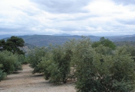 Villa&nbsp;with&nbsp;bedroom&nbsp;in&nbsp;town,&nbsp;Spain&nbsp;156745