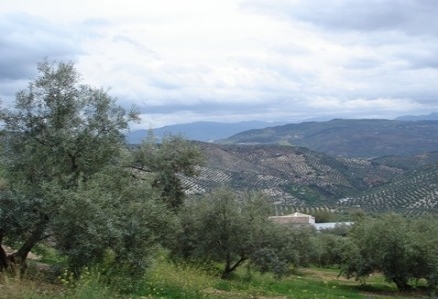 Villa&nbsp;in&nbsp;Cordoba&nbsp;for&nbsp;sale&nbsp;156745