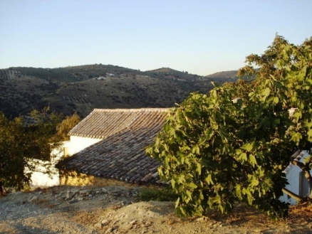 Villa&nbsp;with&nbsp;3&nbsp;bedroom&nbsp;in&nbsp;town,&nbsp;Spain&nbsp;156746