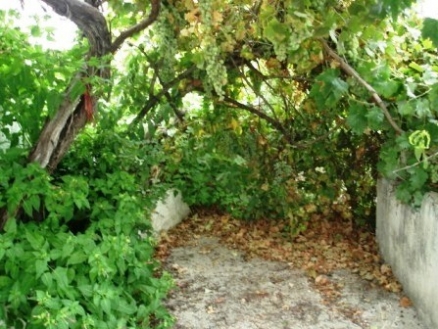 Fuente&nbsp;De&nbsp;Cesna&nbsp;property:&nbsp;Land&nbsp;with&nbsp;bedroom&nbsp;in&nbsp;Fuente&nbsp;De&nbsp;Cesna&nbsp;156749