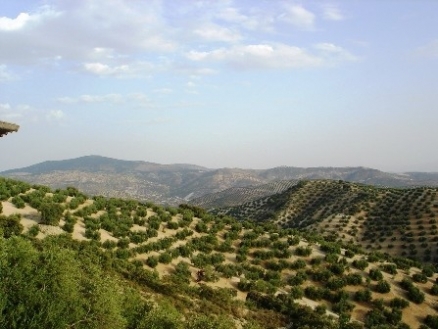 Fuente&nbsp;De&nbsp;Cesna&nbsp;property:&nbsp;Villa&nbsp;for&nbsp;sale&nbsp;in&nbsp;Fuente&nbsp;De&nbsp;Cesna,&nbsp;Granada&nbsp;156755