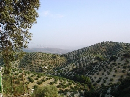 Fuente&nbsp;De&nbsp;Cesna&nbsp;property:&nbsp;Granada&nbsp;property&nbsp;|&nbsp;4&nbsp;bedroom&nbsp;Villa&nbsp;156755