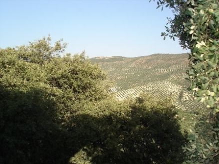 Villa&nbsp;for&nbsp;sale&nbsp;in&nbsp;town,&nbsp;Spain&nbsp;156759