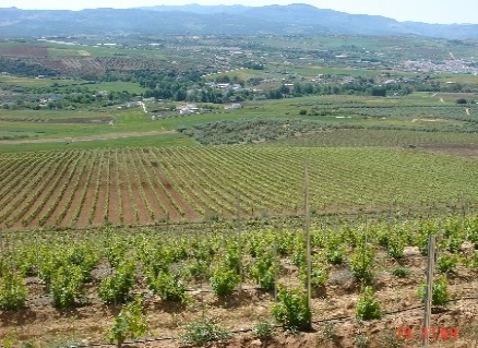 Ronda&nbsp;property:&nbsp;Commercial&nbsp;for&nbsp;sale&nbsp;in&nbsp;Ronda,&nbsp;Malaga&nbsp;157224