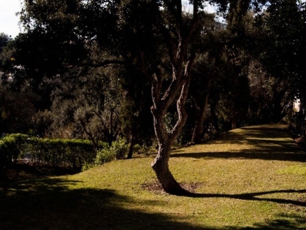 El&nbsp;Rosario&nbsp;property:&nbsp;El&nbsp;Rosario&nbsp;Villa&nbsp;157320