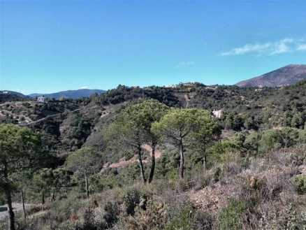 San&nbsp;Pedro&nbsp;de&nbsp;Alcantara&nbsp;property:&nbsp;Land&nbsp;for&nbsp;sale&nbsp;in&nbsp;San&nbsp;Pedro&nbsp;de&nbsp;Alcantara,&nbsp;Spain&nbsp;157409