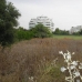 Guadalmina&nbsp;Alta&nbsp;property:&nbsp;bedroom&nbsp;Land&nbsp;in&nbsp;Guadalmina&nbsp;Alta,&nbsp;Spain&nbsp;157418