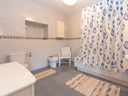 Alora&nbsp;property:&nbsp;Alora&nbsp;Townhome&nbsp;157437