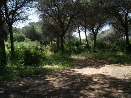 Marbesa&nbsp;property:&nbsp;Land&nbsp;for&nbsp;sale&nbsp;in&nbsp;Marbesa,&nbsp;Spain&nbsp;157572