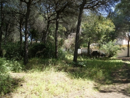 Marbesa&nbsp;property:&nbsp;Land&nbsp;with&nbsp;bedroom&nbsp;in&nbsp;Marbesa&nbsp;157572