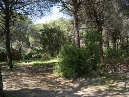 Marbesa&nbsp;property:&nbsp;Land&nbsp;with&nbsp;bedroom&nbsp;in&nbsp;Marbesa,&nbsp;Spain&nbsp;157572