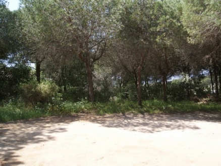Marbesa&nbsp;property:&nbsp;Land&nbsp;for&nbsp;sale&nbsp;in&nbsp;Marbesa,&nbsp;Malaga&nbsp;157572