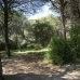Marbesa&nbsp;property:&nbsp;bedroom&nbsp;Land&nbsp;in&nbsp;Malaga&nbsp;157572