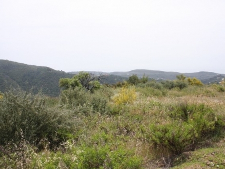 Benahavis&nbsp;property:&nbsp;Benahavis&nbsp;Land&nbsp;157746