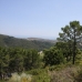 Benahavis&nbsp;property:&nbsp;bedroom&nbsp;Land&nbsp;in&nbsp;Malaga&nbsp;157746