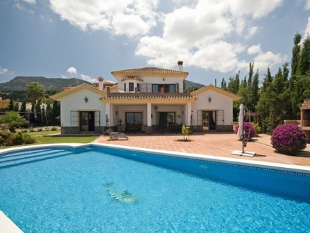 Alhaurin El Grande property: Villa for sale in Alhaurin El Grande 157773