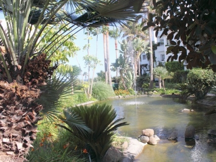 Costalita&nbsp;property:&nbsp;Costalita&nbsp;Apartment&nbsp;157787