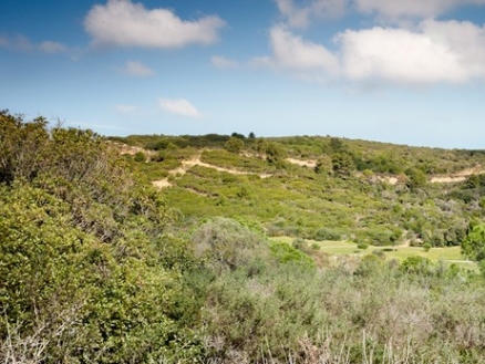 Sotogrande&nbsp;property:&nbsp;Sotogrande,&nbsp;Spain&nbsp;|&nbsp;Land&nbsp;for&nbsp;sale&nbsp;157812