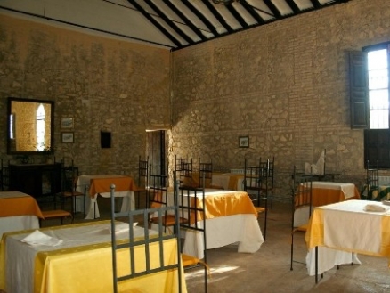 Antequera&nbsp;property:&nbsp;Commercial&nbsp;with&nbsp;9+&nbsp;bedroom&nbsp;in&nbsp;Antequera&nbsp;157822