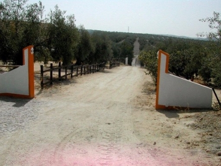 Antequera&nbsp;property:&nbsp;Commercial&nbsp;for&nbsp;sale&nbsp;in&nbsp;Antequera,&nbsp;Malaga&nbsp;157822